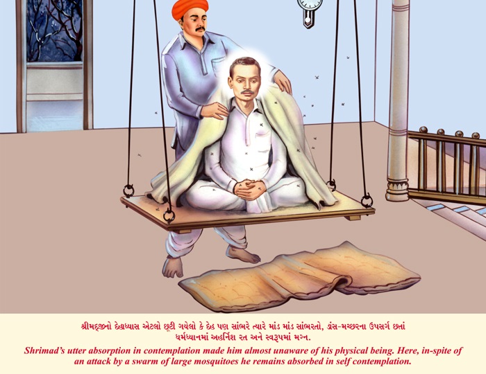 Slide Image
